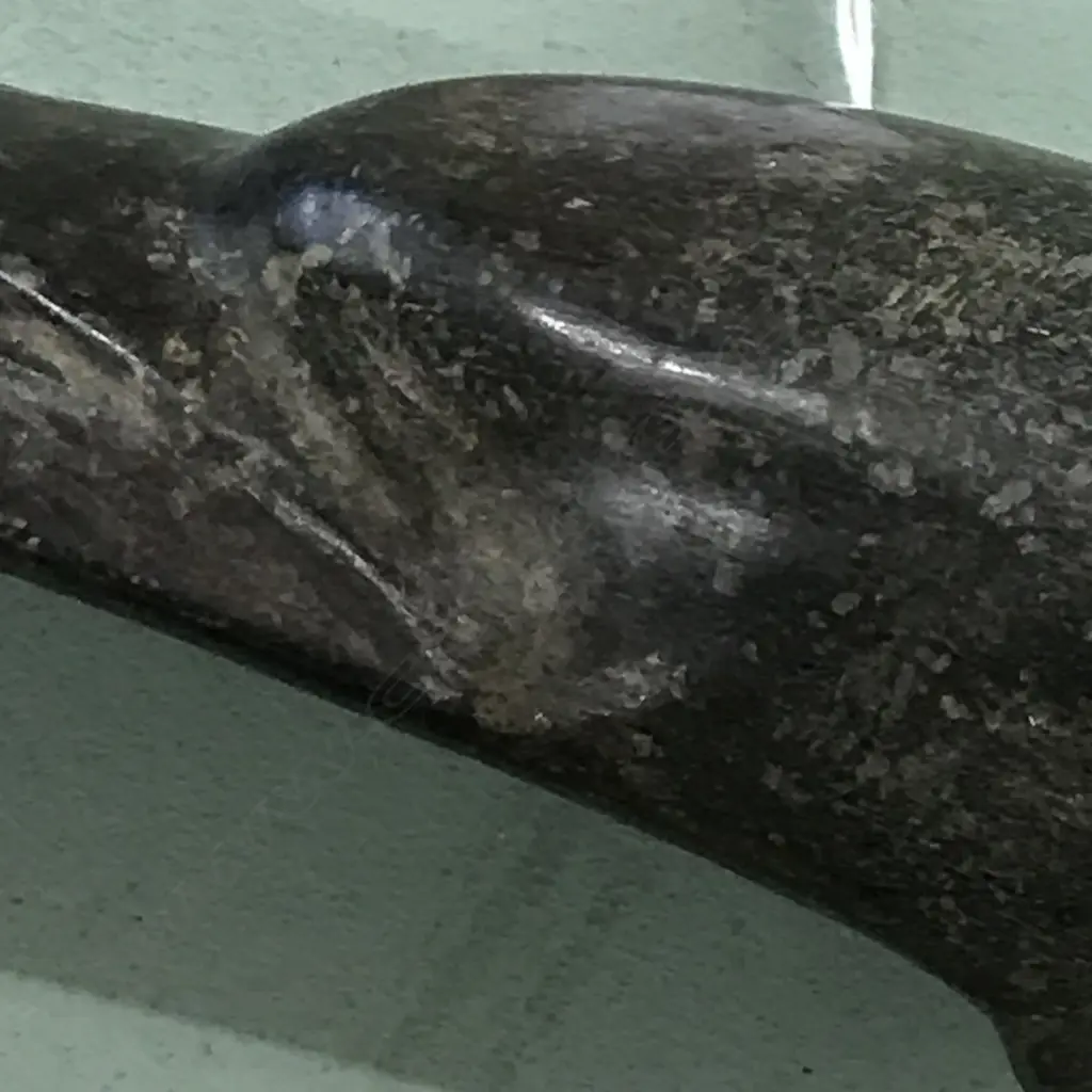 An unusual stone adze blade Image 1++