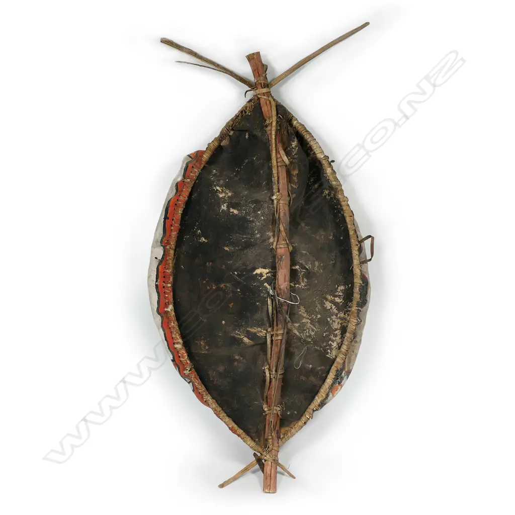 A vintage East African Masai tribal antelope hide shield, Image 1++