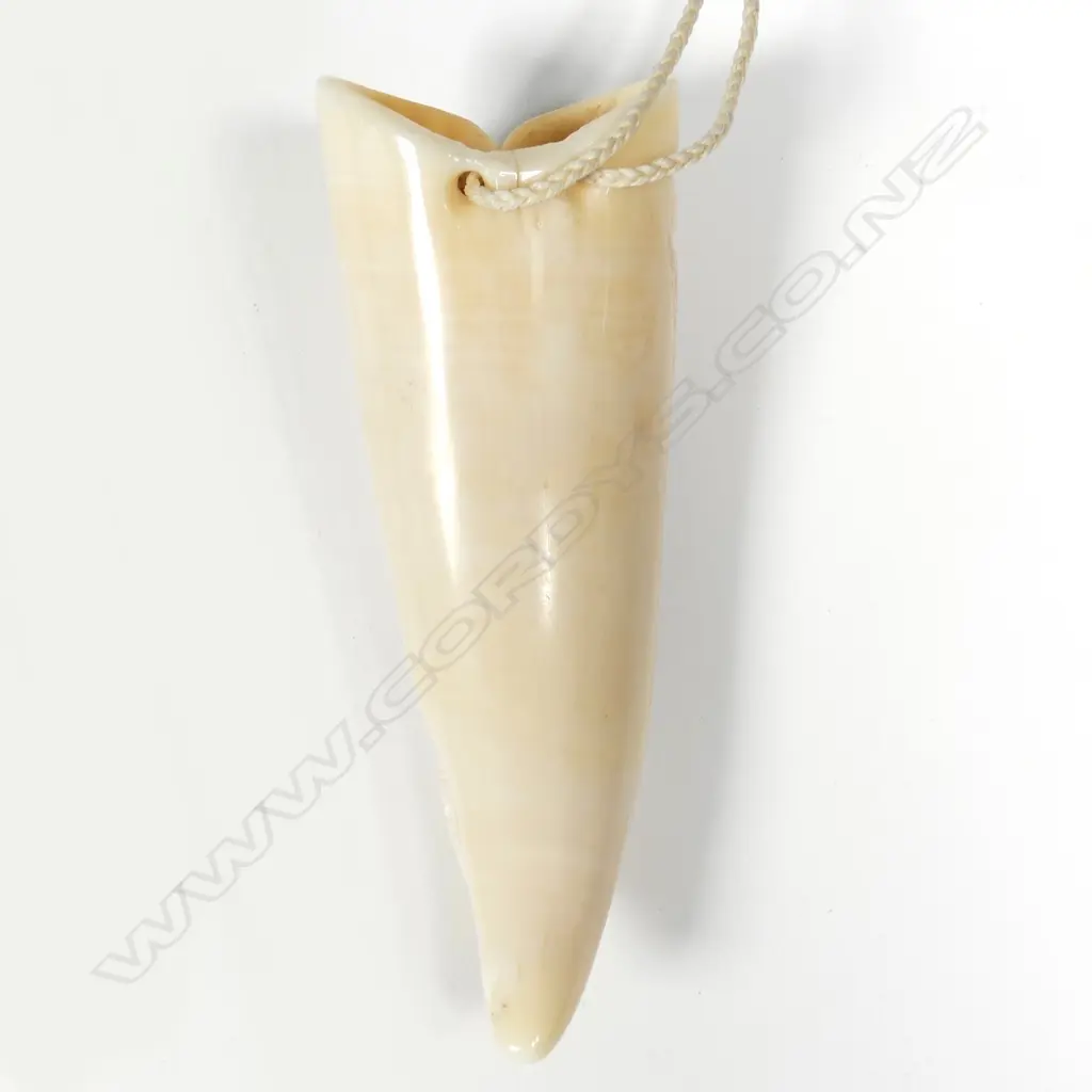 A late 20thC Māori carved whale's tooth rei puta pendant Image 1++