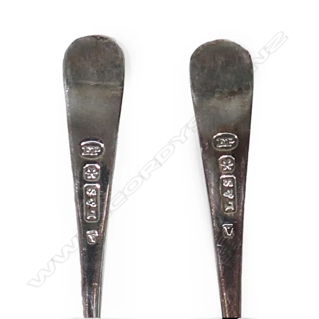 An early 1900s Royal Worcester and silver plate travelling tea set, Image 1++