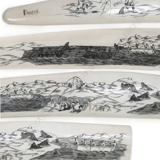 A very large walrus tusk, scrimshaw engraved, attributed to Ellen Evak Paneok (Alaskan 1959 - 2008),