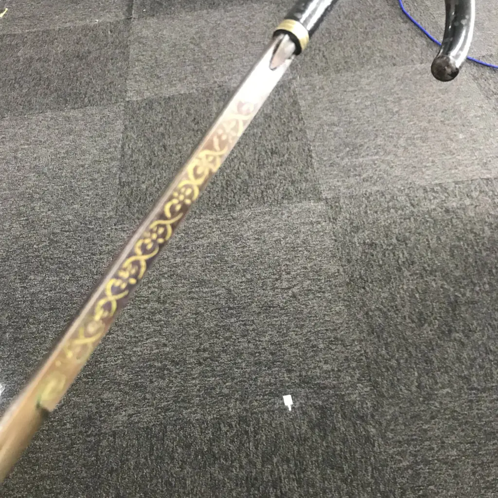 A c.1900 black enamelled sword stick, Image 1++