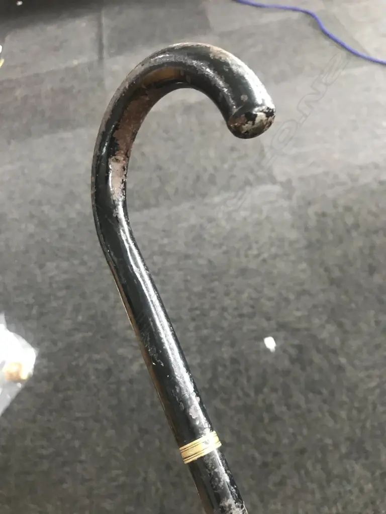 A c.1900 black enamelled sword stick, Image 1++