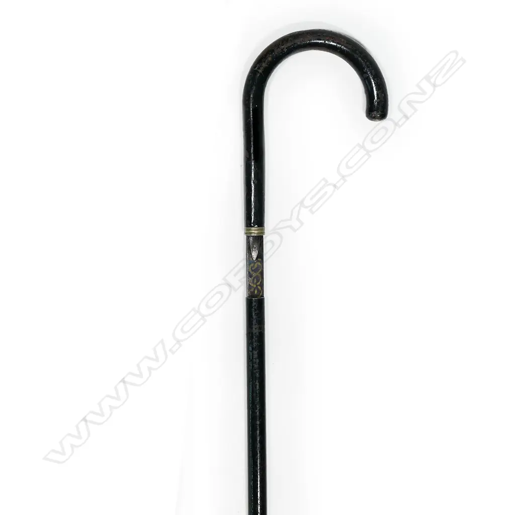 A c.1900 black enamelled sword stick, Image 1++