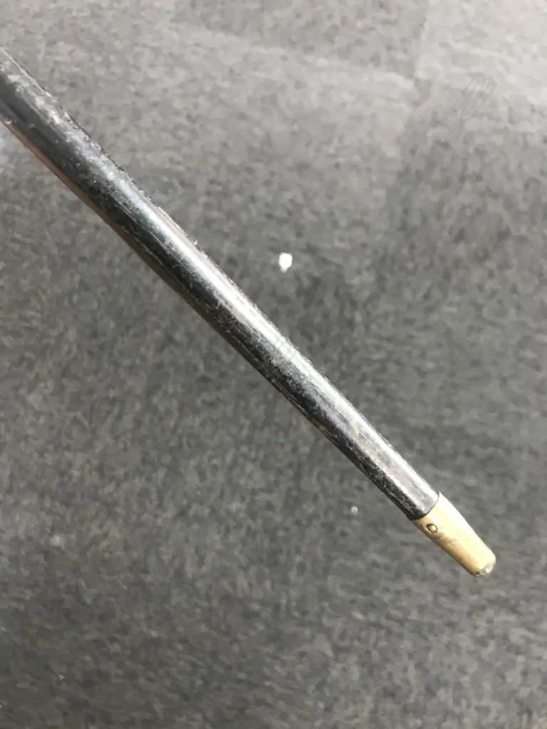 A c.1900 black enamelled sword stick, Image 1++