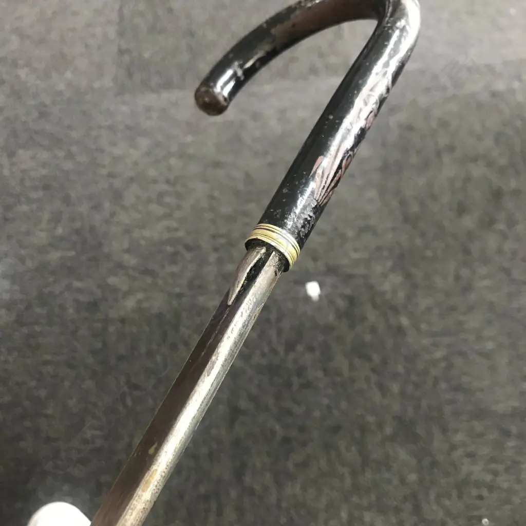 A c.1900 black enamelled sword stick, Image 1++