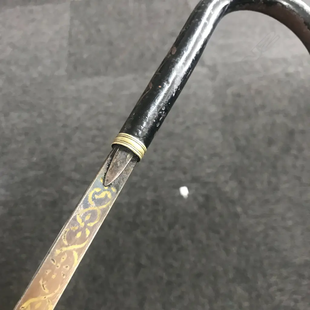 A c.1900 black enamelled sword stick, Image 1++