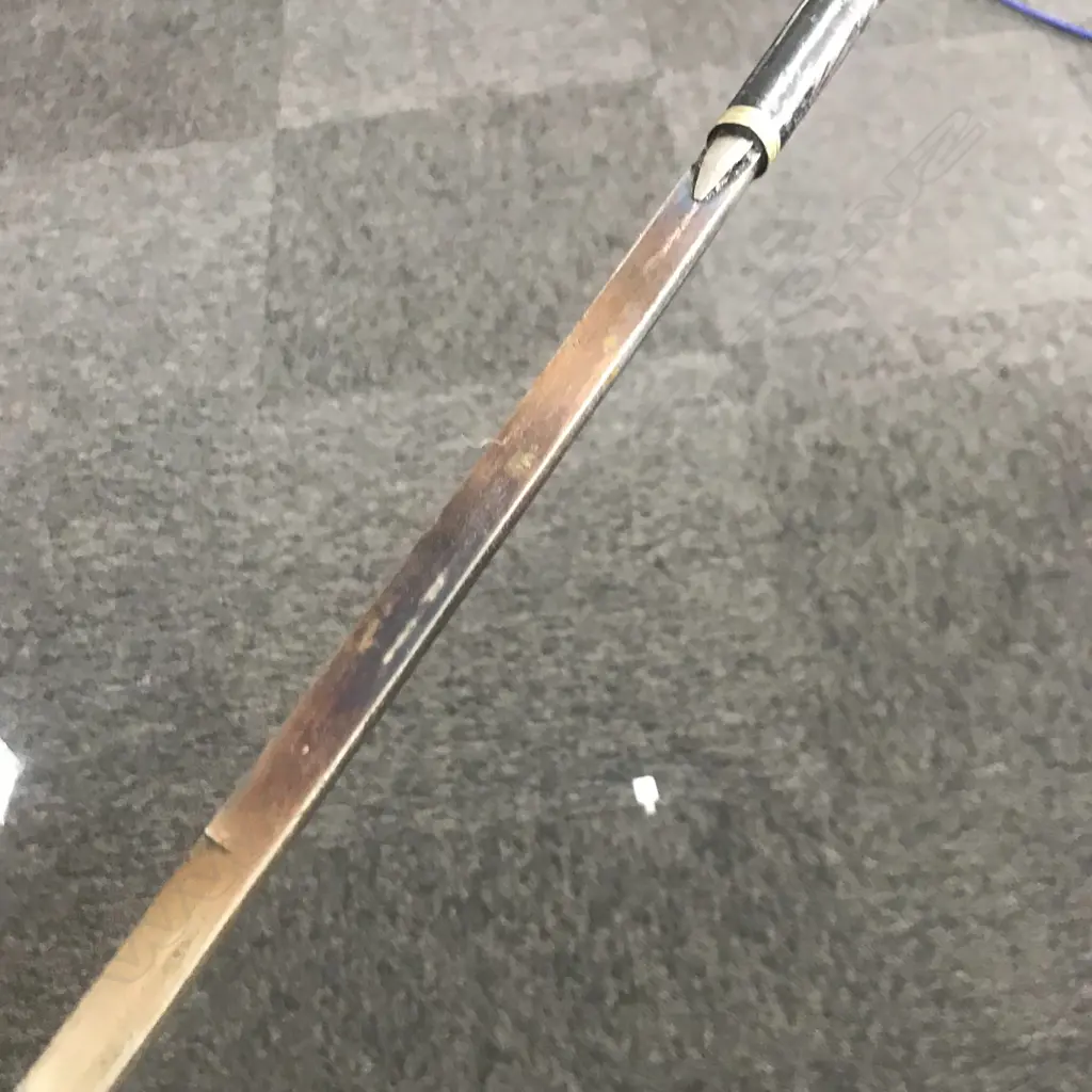 A c.1900 black enamelled sword stick, Image 1++