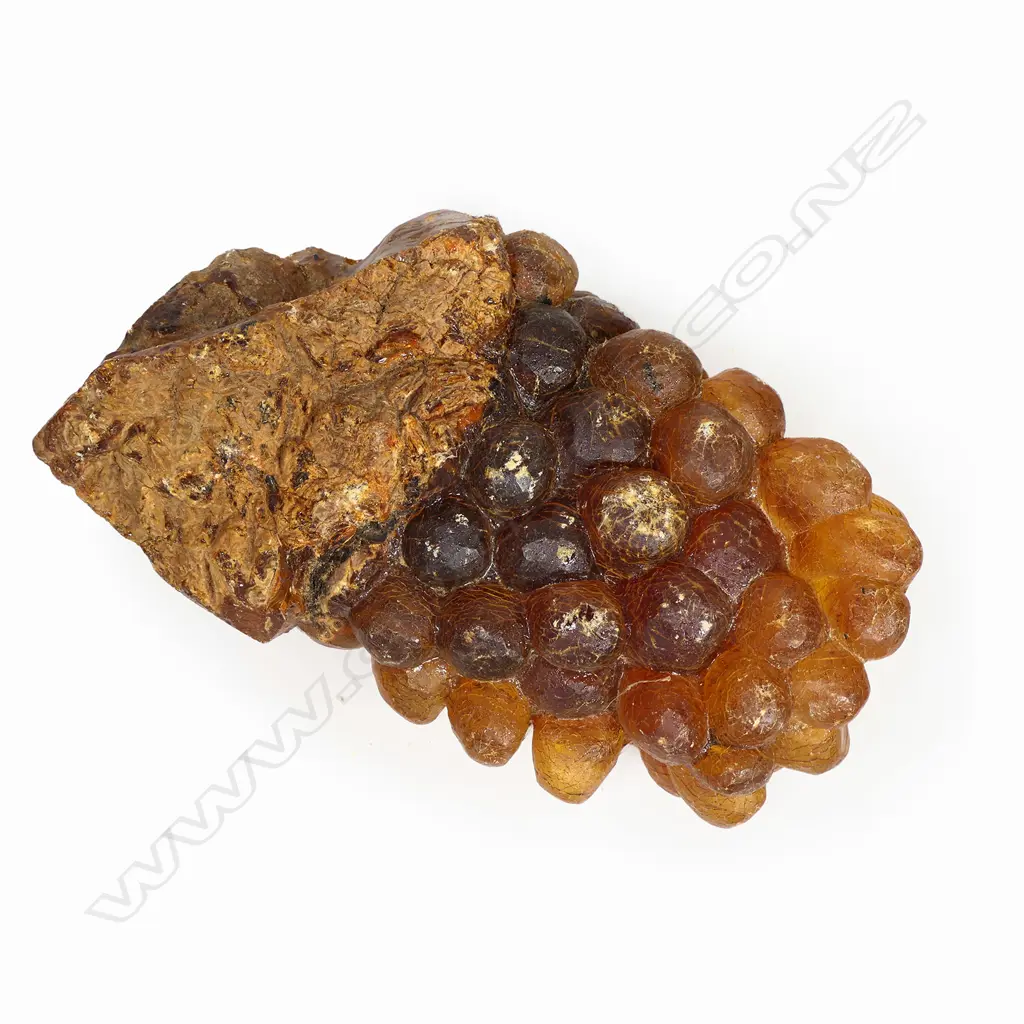 A colonial kauri gum boulder, carved to resemble a bunch of grapes, Image 1++