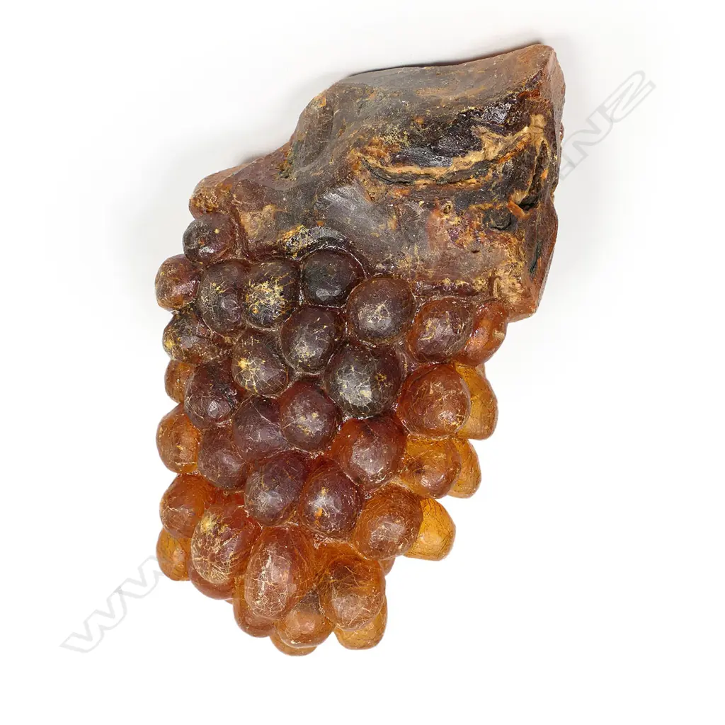 A colonial kauri gum boulder, carved to resemble a bunch of grapes, Image 1++