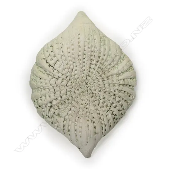 Len Castle Sea Secret form