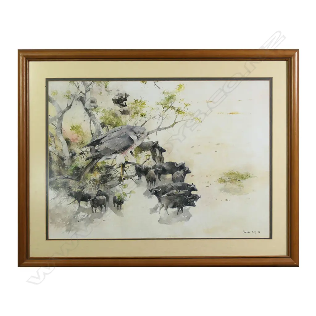 David Kelly (b.1959) ‘Buffalo and Falcon’ Image 1++