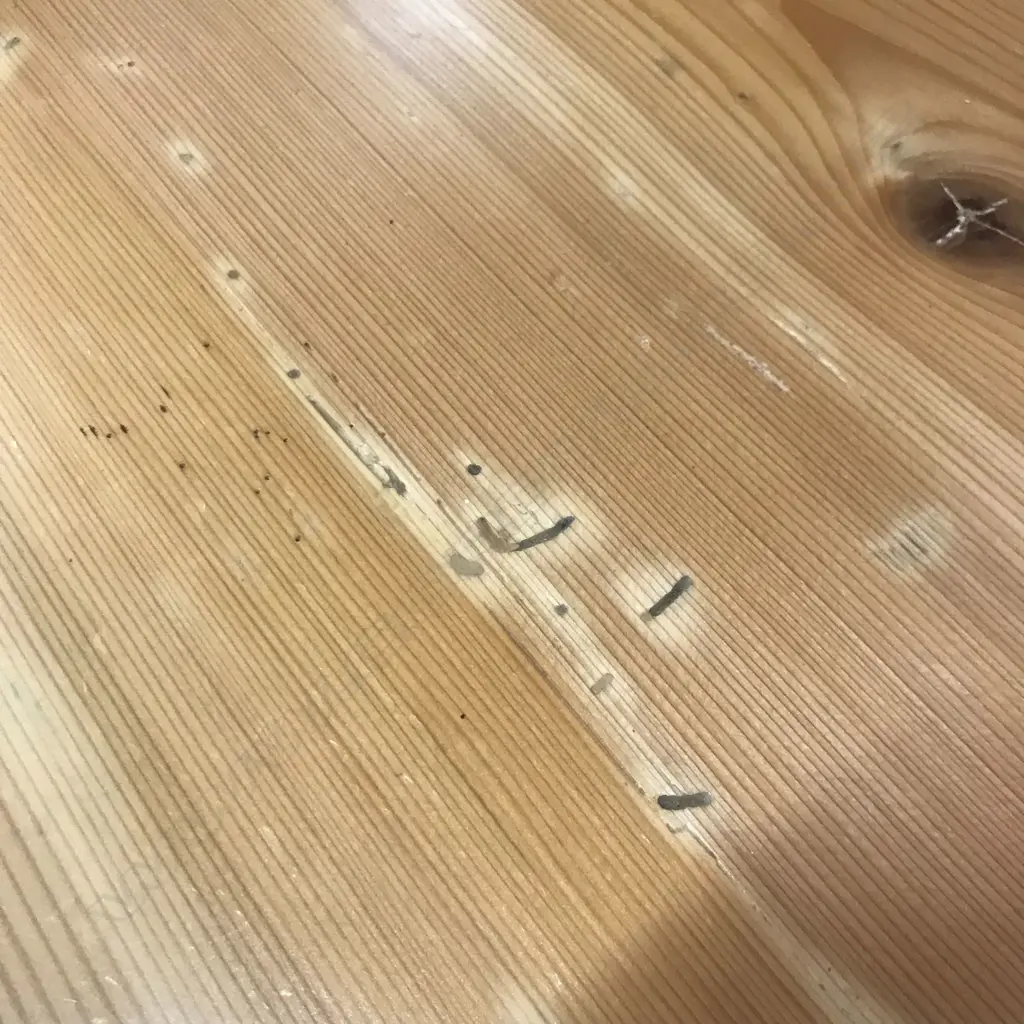 A European Biedermeier pine commode, of three graduated drawers, Image 1++