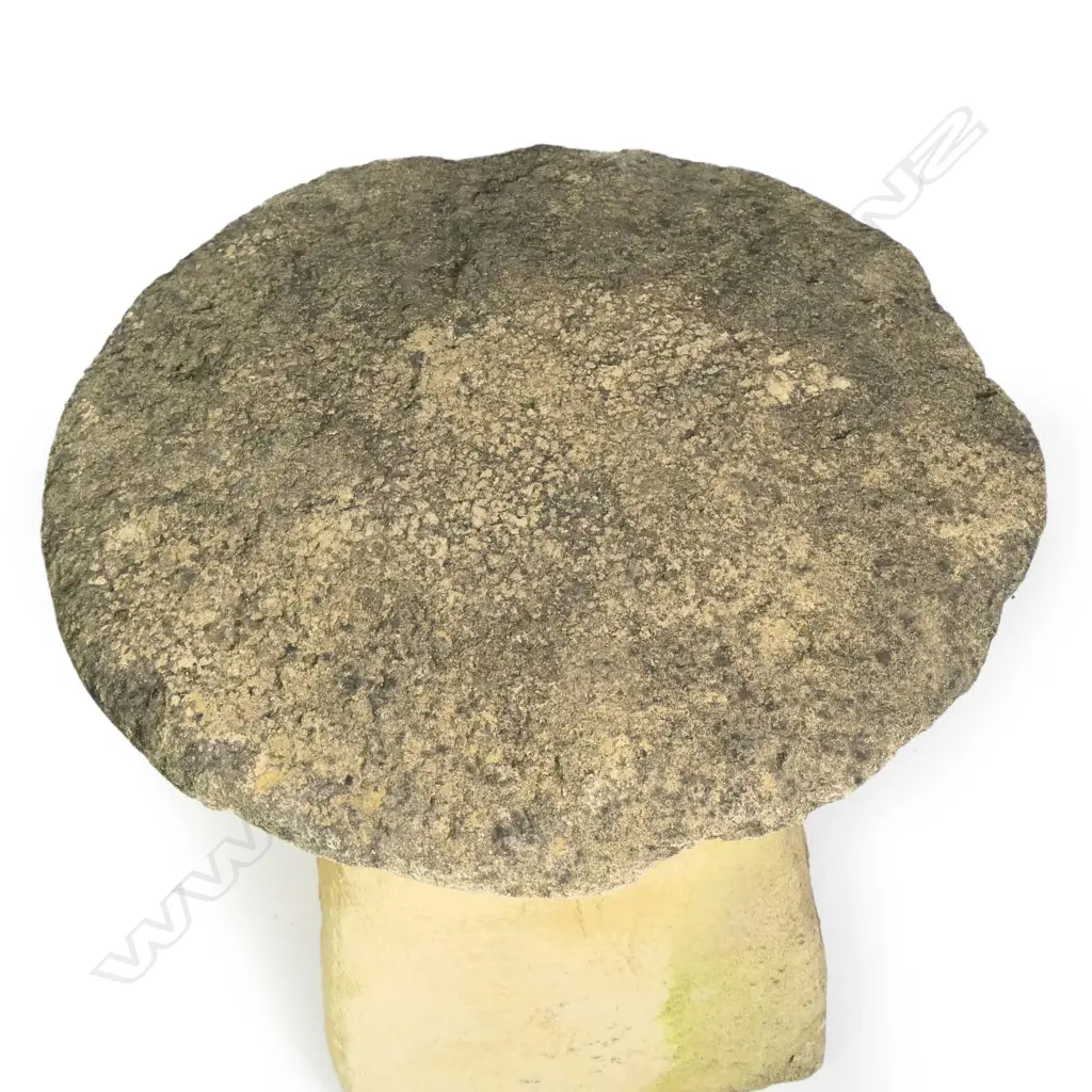 A Church Stone staddle stone, Image 1++