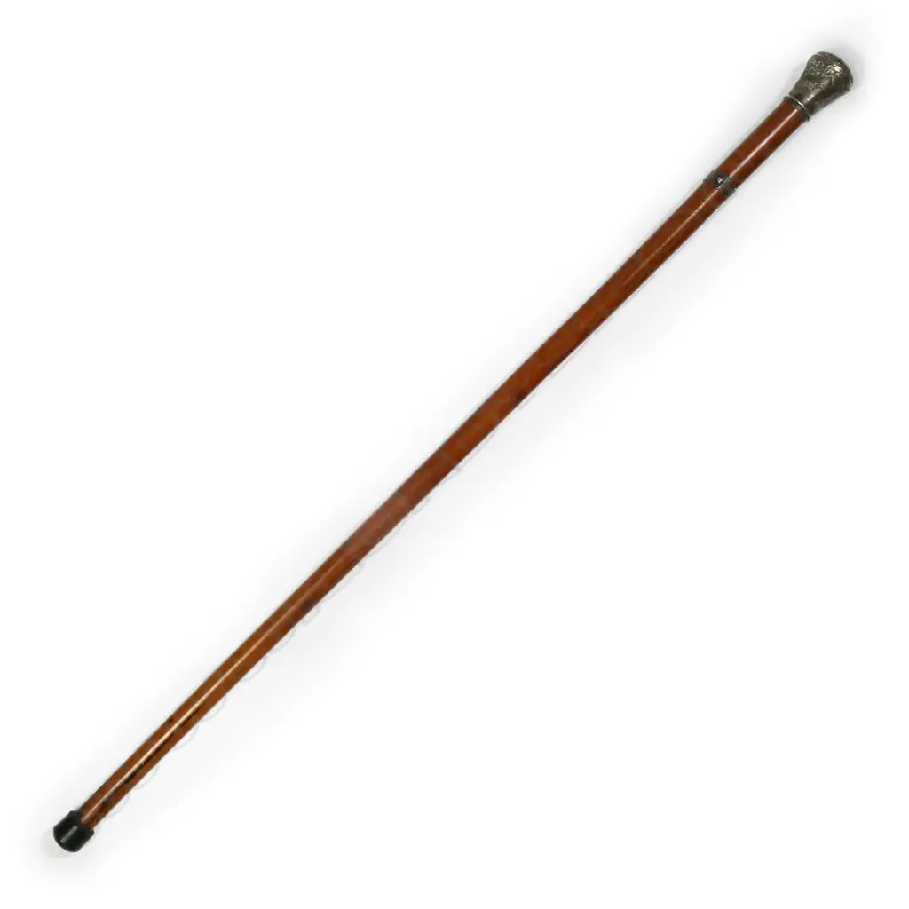 A c.1900 Eastern silver and Malacca cane walking stick Image 1++