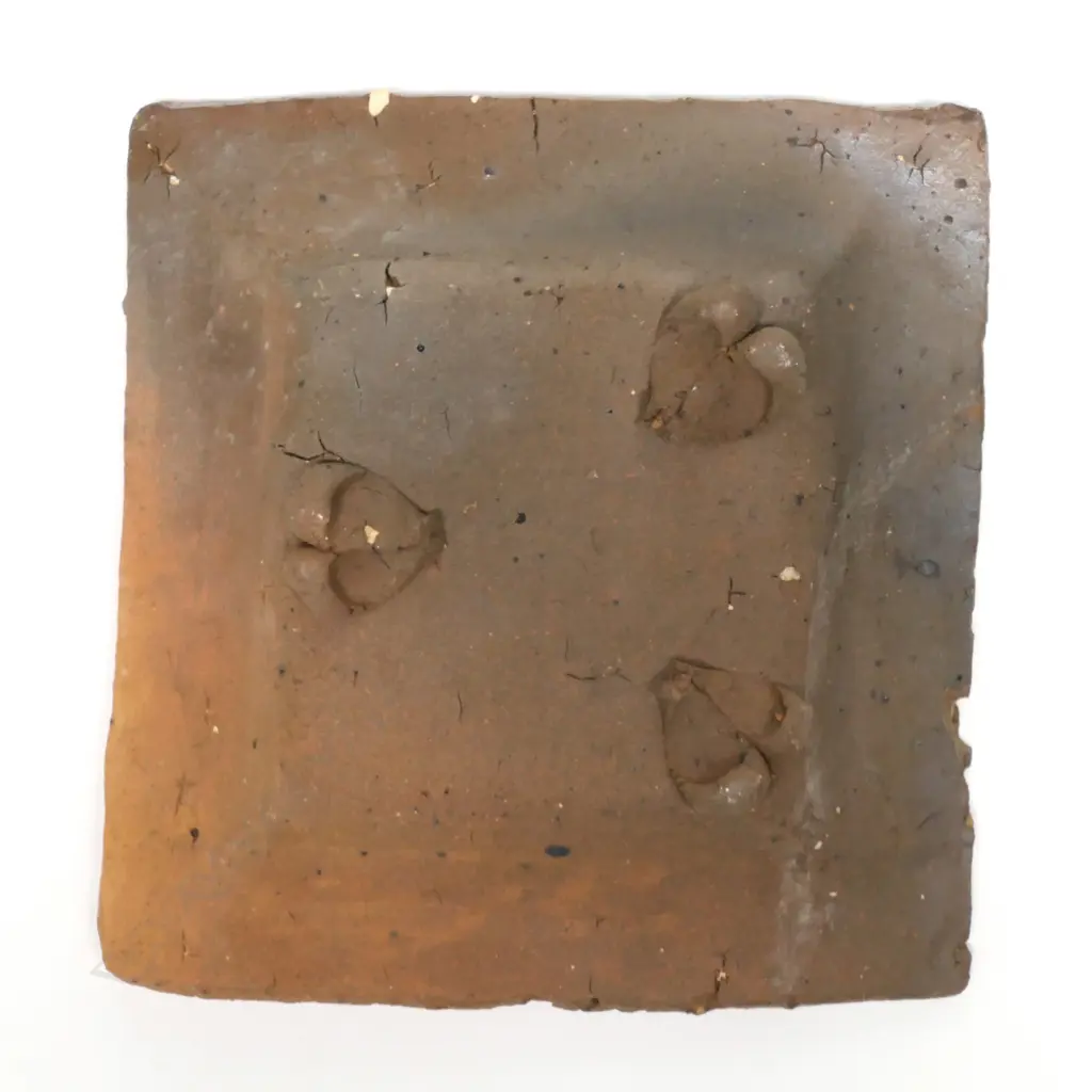 Richard Parker small medium square dish, Image 1++
