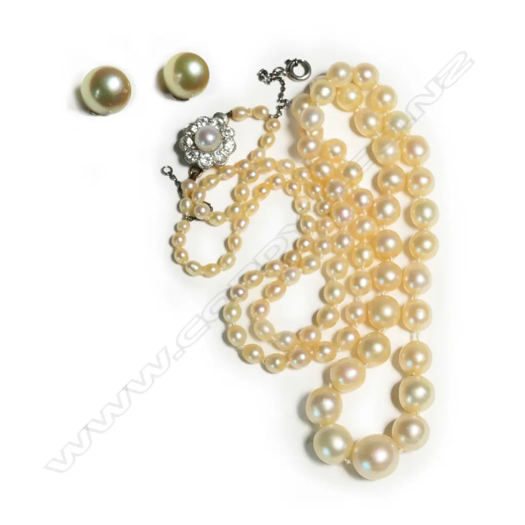 A pearl necklace, Image 1++