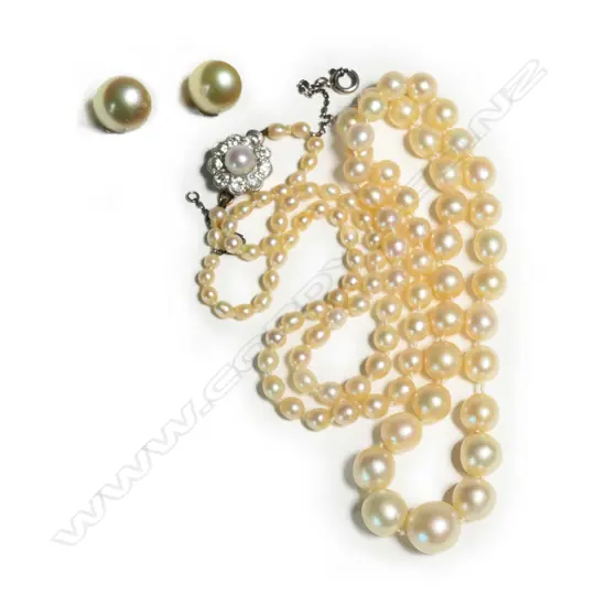 A pearl necklace,