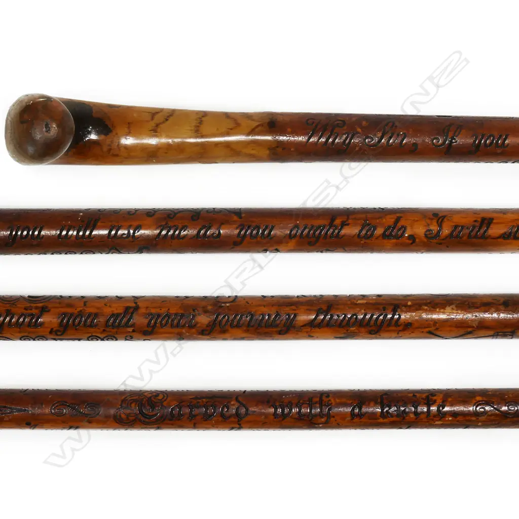 A Victorian carved 'Prince of Wales' paddle steamer walking stick, Image 1++
