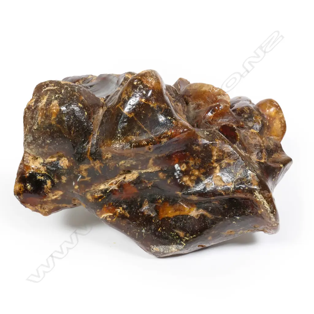 A large kauri gum boulder, Image 1++