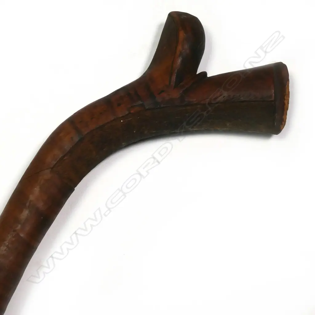 A 19thC Fijian Kiakavo (gunstock) club, of casuarina wood, Image 1++