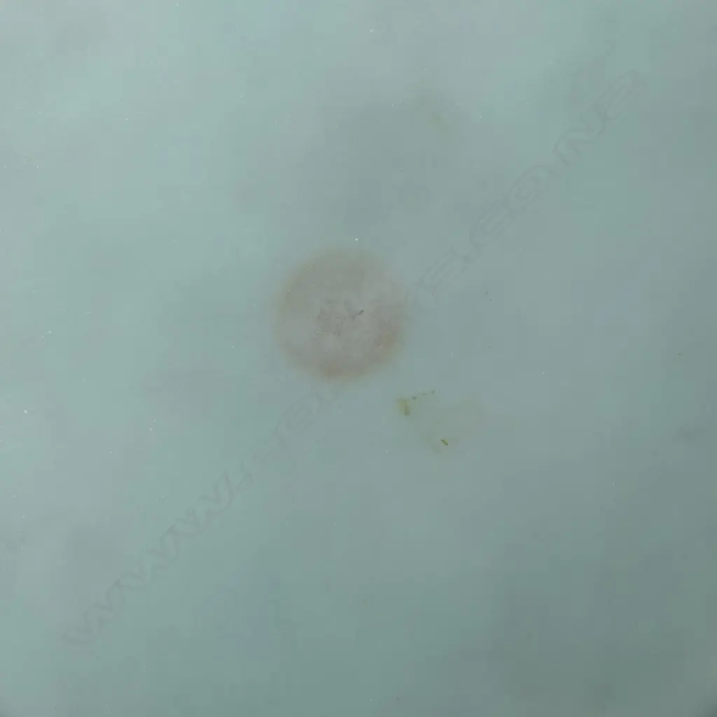 An Inaba Cloisonné Co. cloisonné vase, c.1960, Image 1++