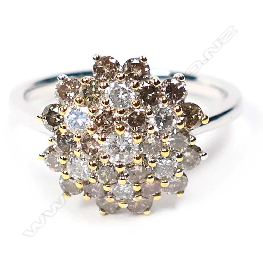 A 14ct white gold and diamond cluster ring, Image 1++