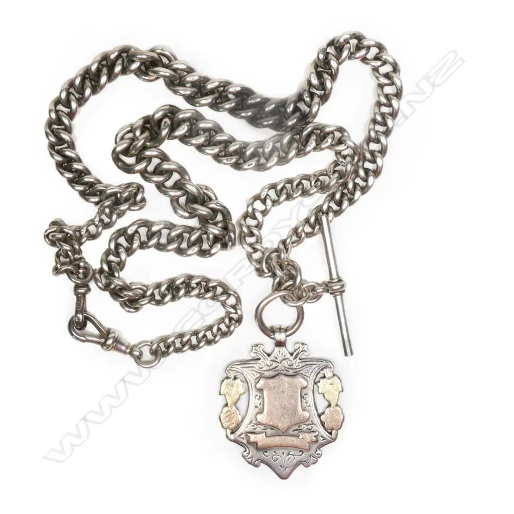 An exceptional c.1900 silver Albert chain, Image 1++