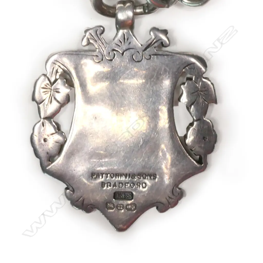 An exceptional c.1900 silver Albert chain, Image 1++