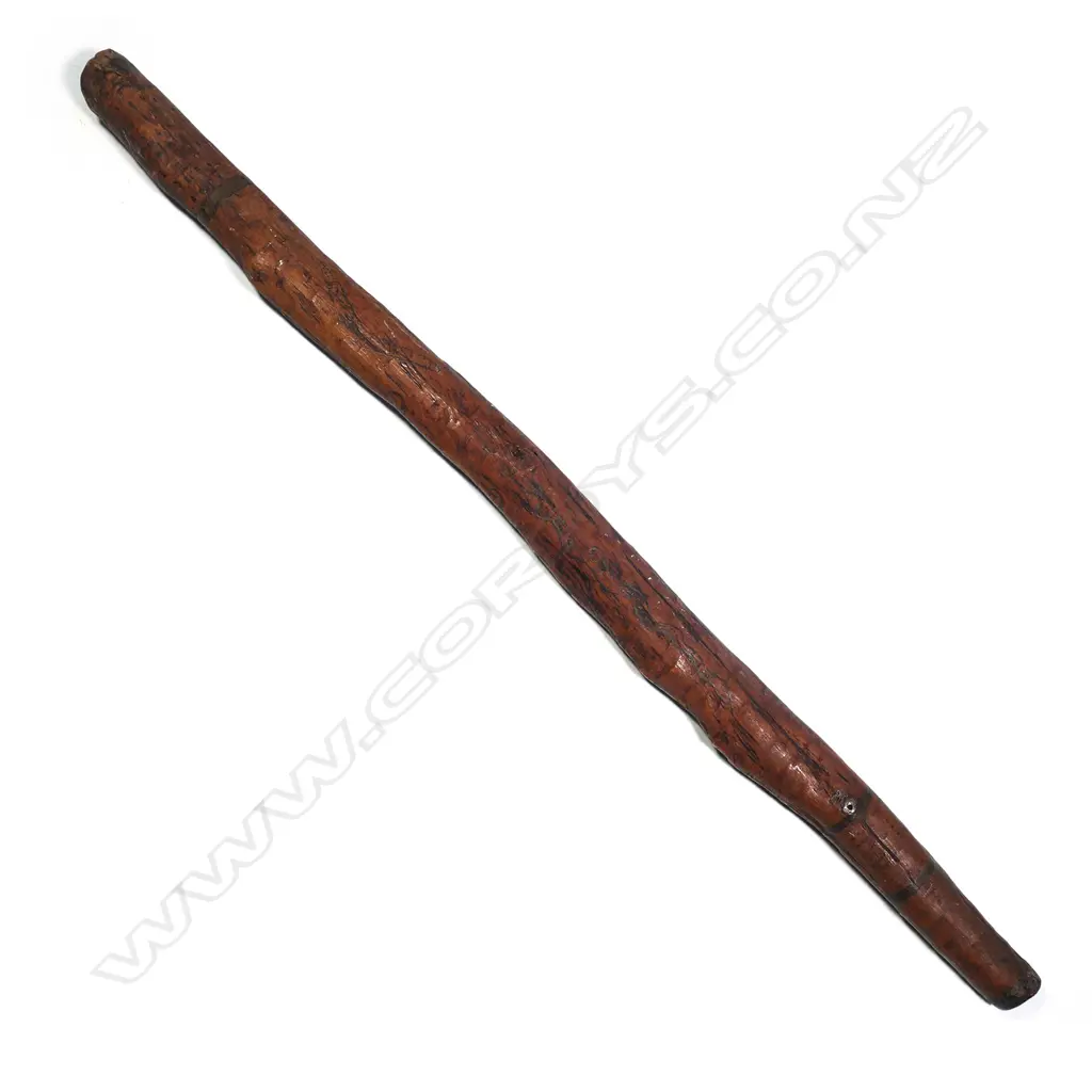 An old Aboriginal digeridoo, Image 1++