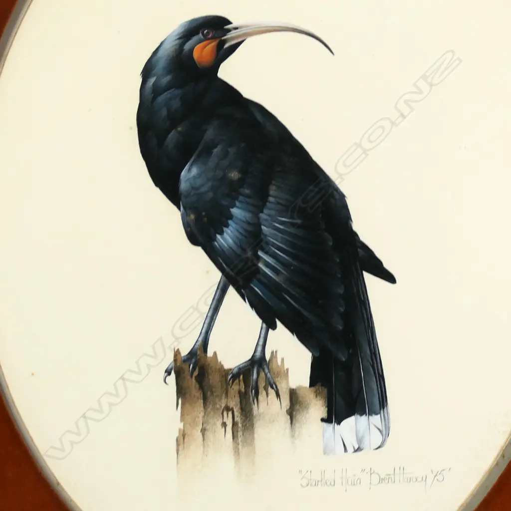 Brent Harvey (b.1955) Image 1++