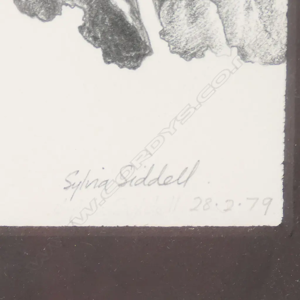 Sylvia Siddell (1941-2011) Image 1++
