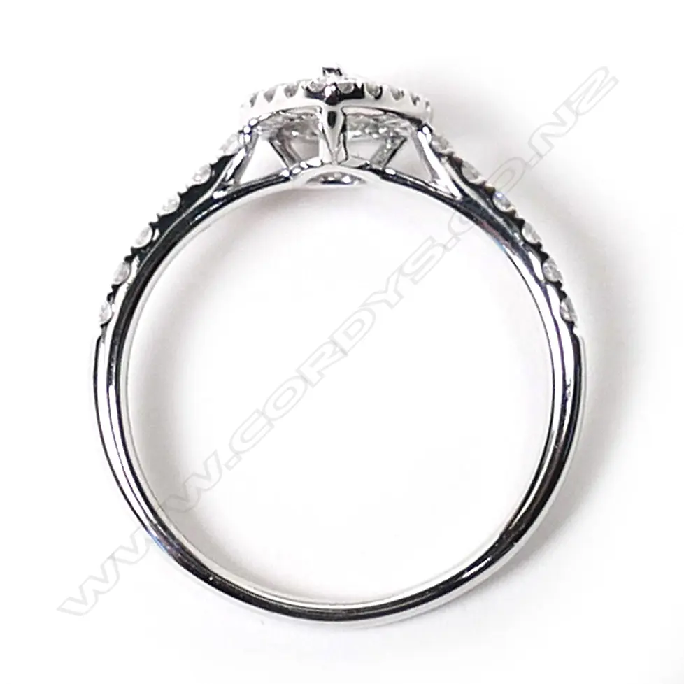 A 14ct white gold and diamond halo ring, Image 1++