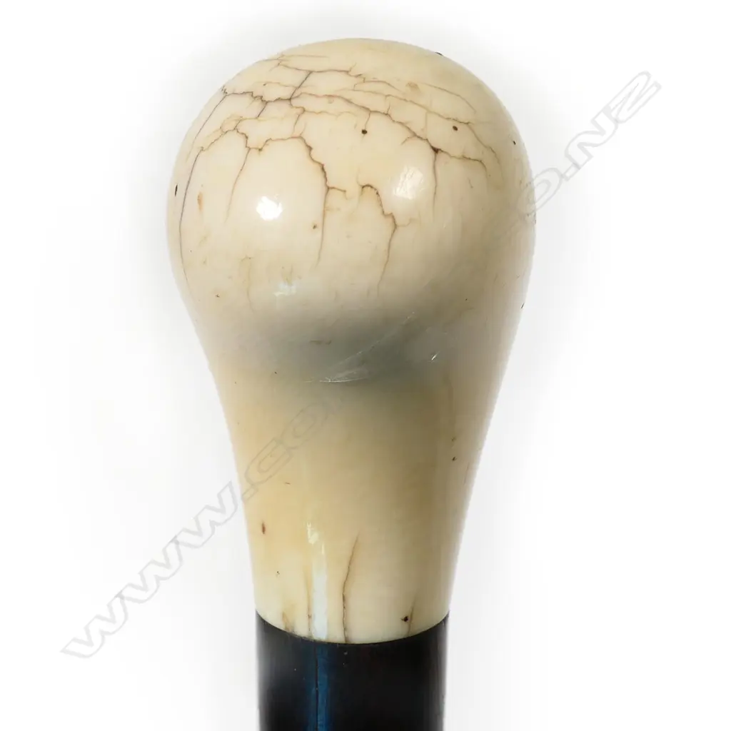 An ebony walking stick with marine ivory handle Image 1++