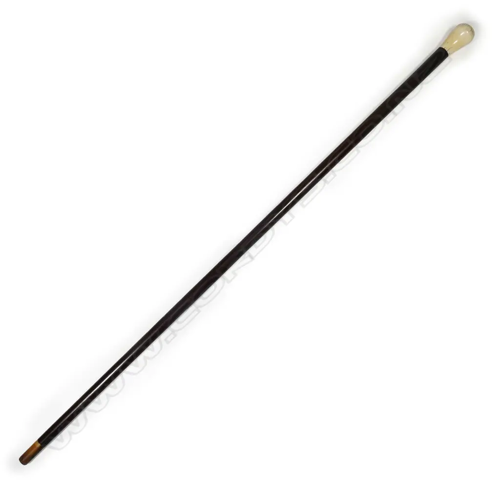 An ebony walking stick with marine ivory handle Image 1++
