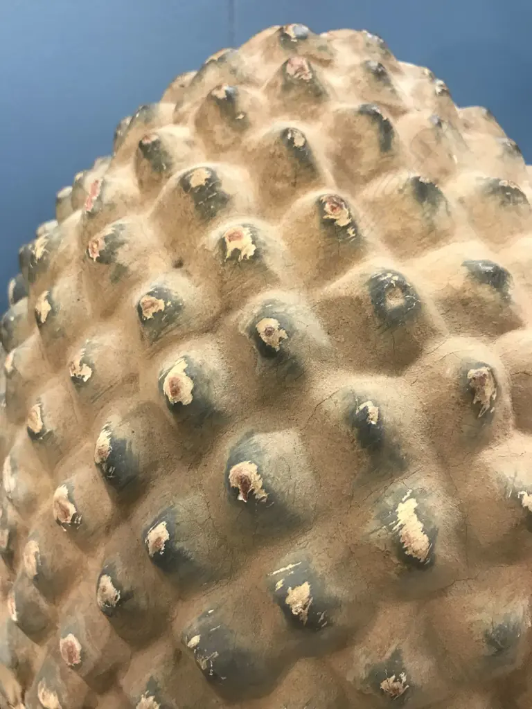 A large old Buddha head Image 1++