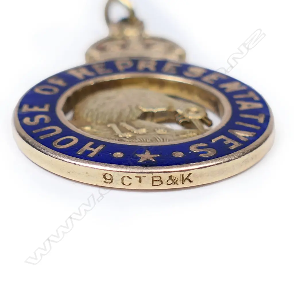 A 9ct gold and enamel late 19th/early 20thC free N.Z.R. pass, Image 1++