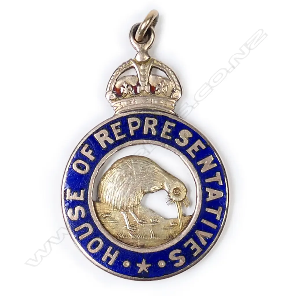 A 9ct gold and enamel late 19th/early 20thC free N.Z.R. pass, Image 1++