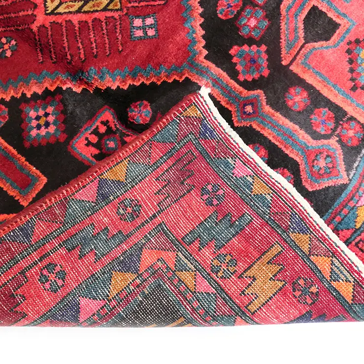 An Iranian Gharache runner, Image 1++