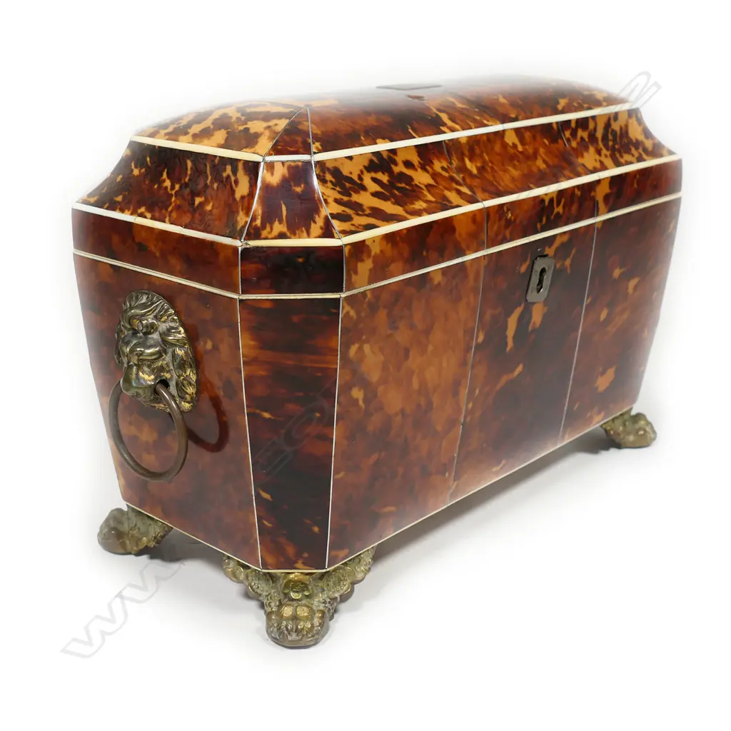 A quality George III casket form tortoiseshell teacaddy, Image 1++