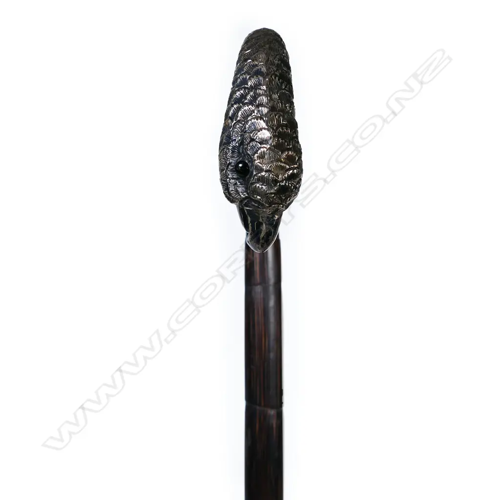 A c.1900  silver parrot handled walking stick, Image 1++