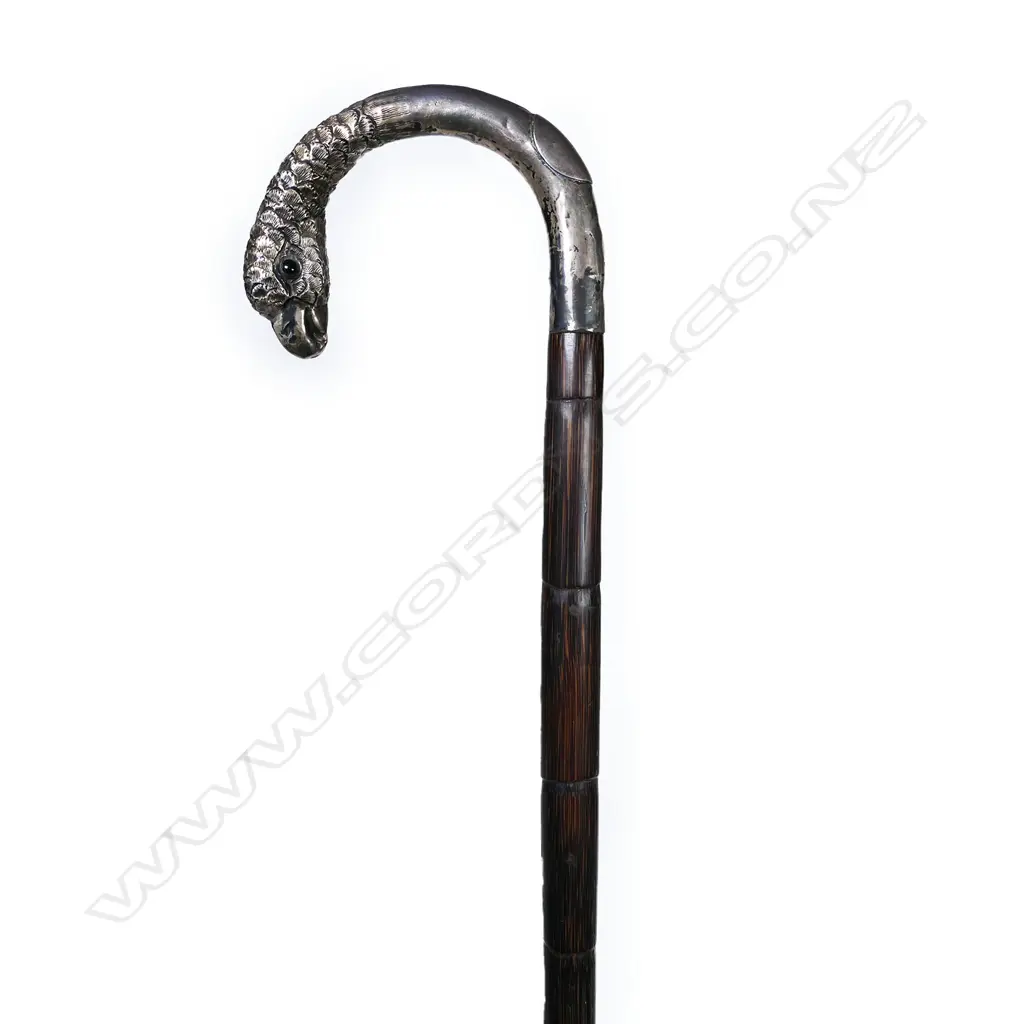 A c.1900  silver parrot handled walking stick, Image 1++