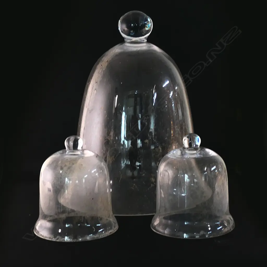 Three vintage glass garden cloches, Image 1++