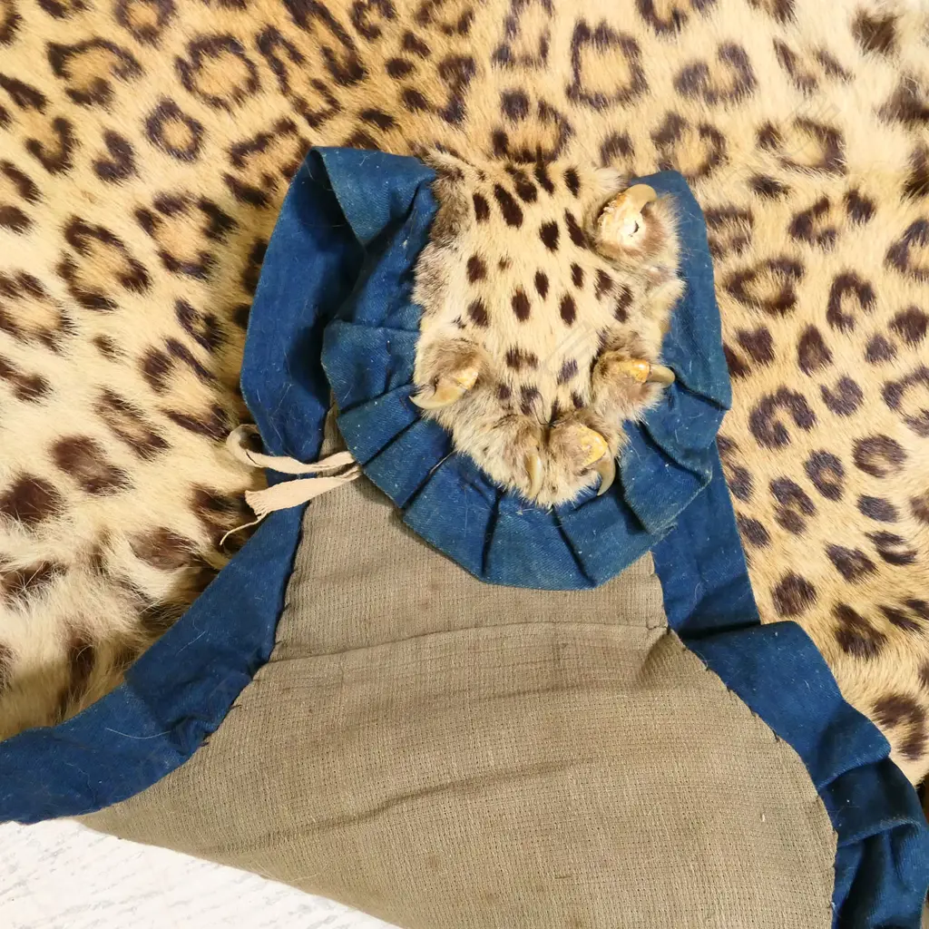 A leopard skin rug, Image 1++