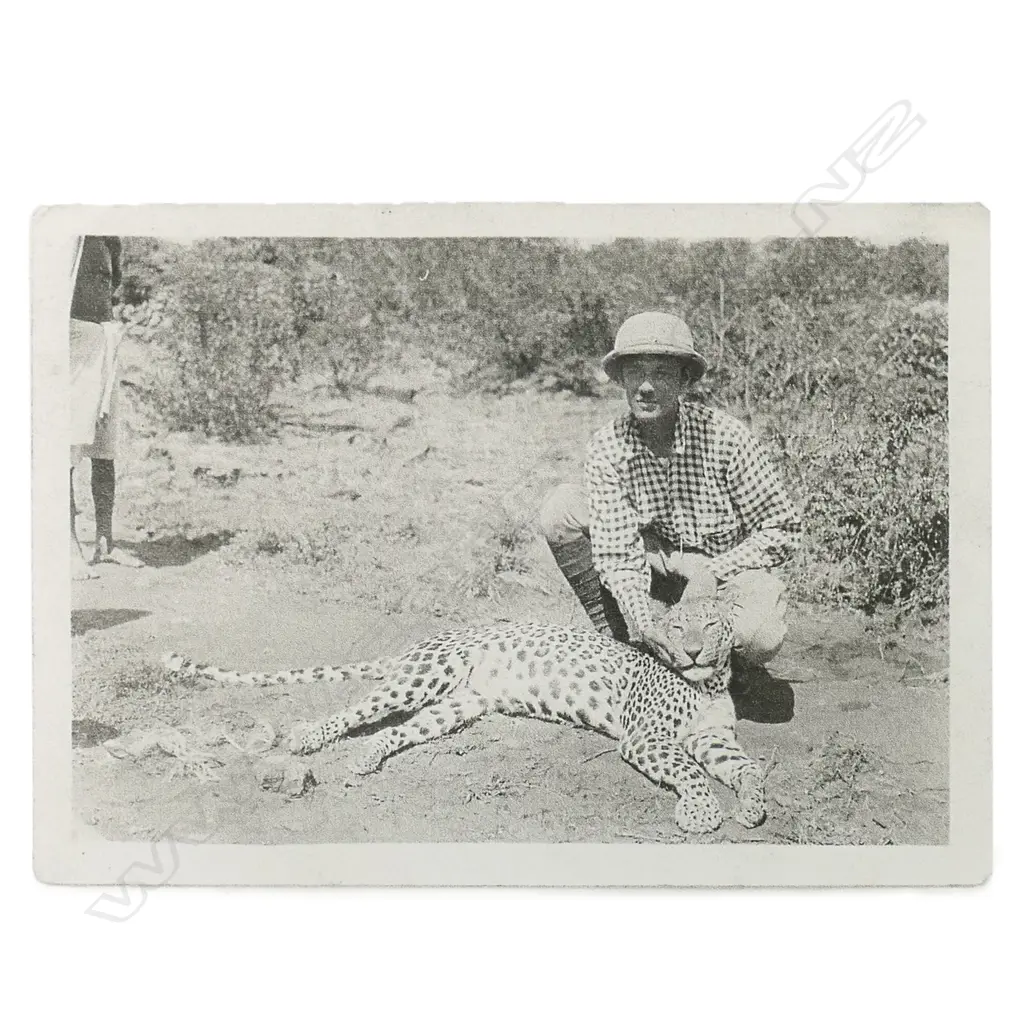 A leopard skin rug, Image 1++