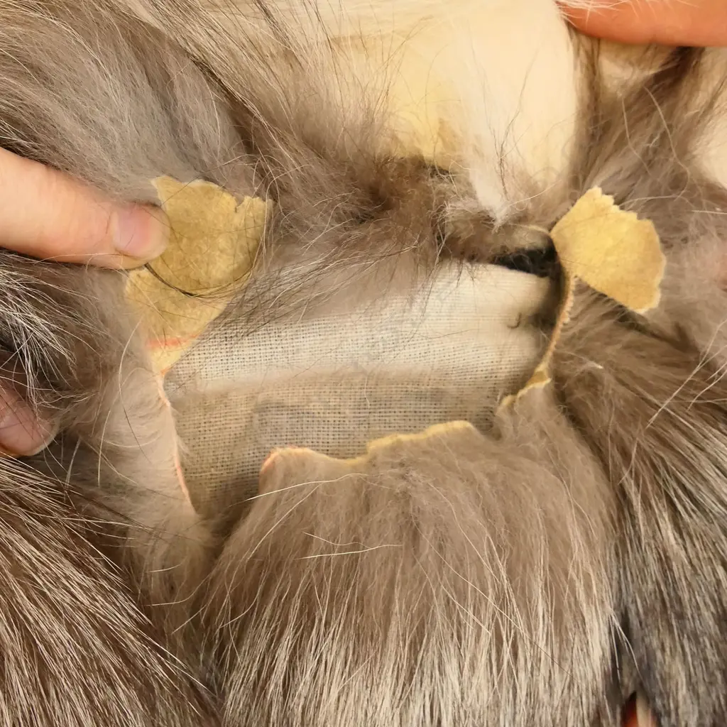 A luxurious fox fur coat, Image 1++