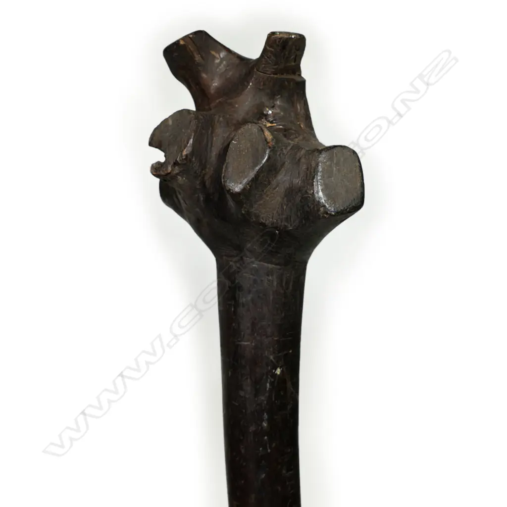 An old Polynesian root-stock club Image 1++