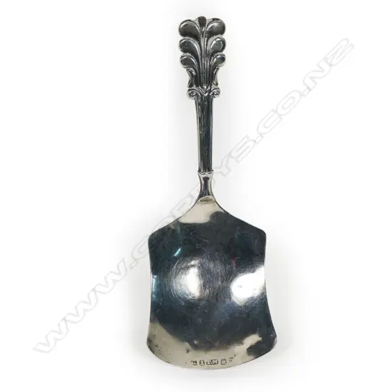 A William IV silver caddy spoon,