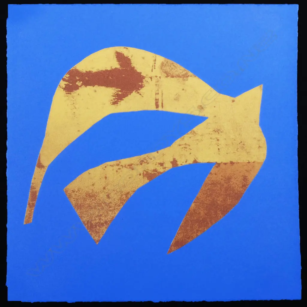 Robin White (b.1946), Image 1++