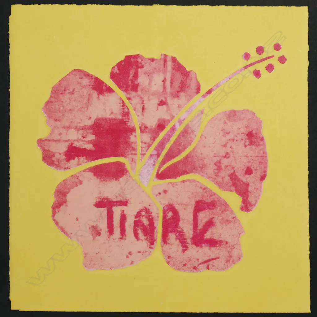Robin White (b.1946), Image 1++